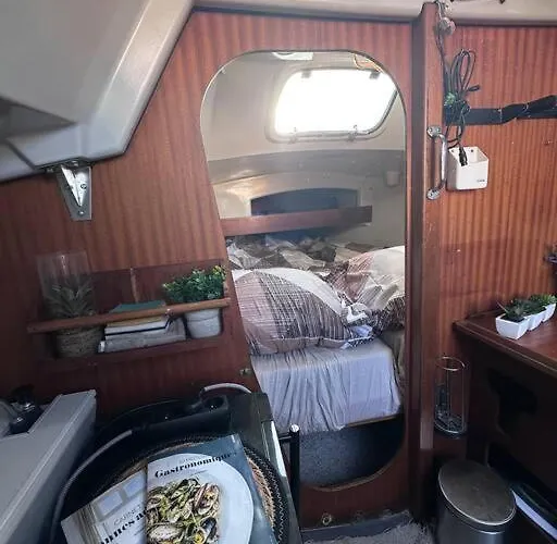 Cest De La * 多维尔